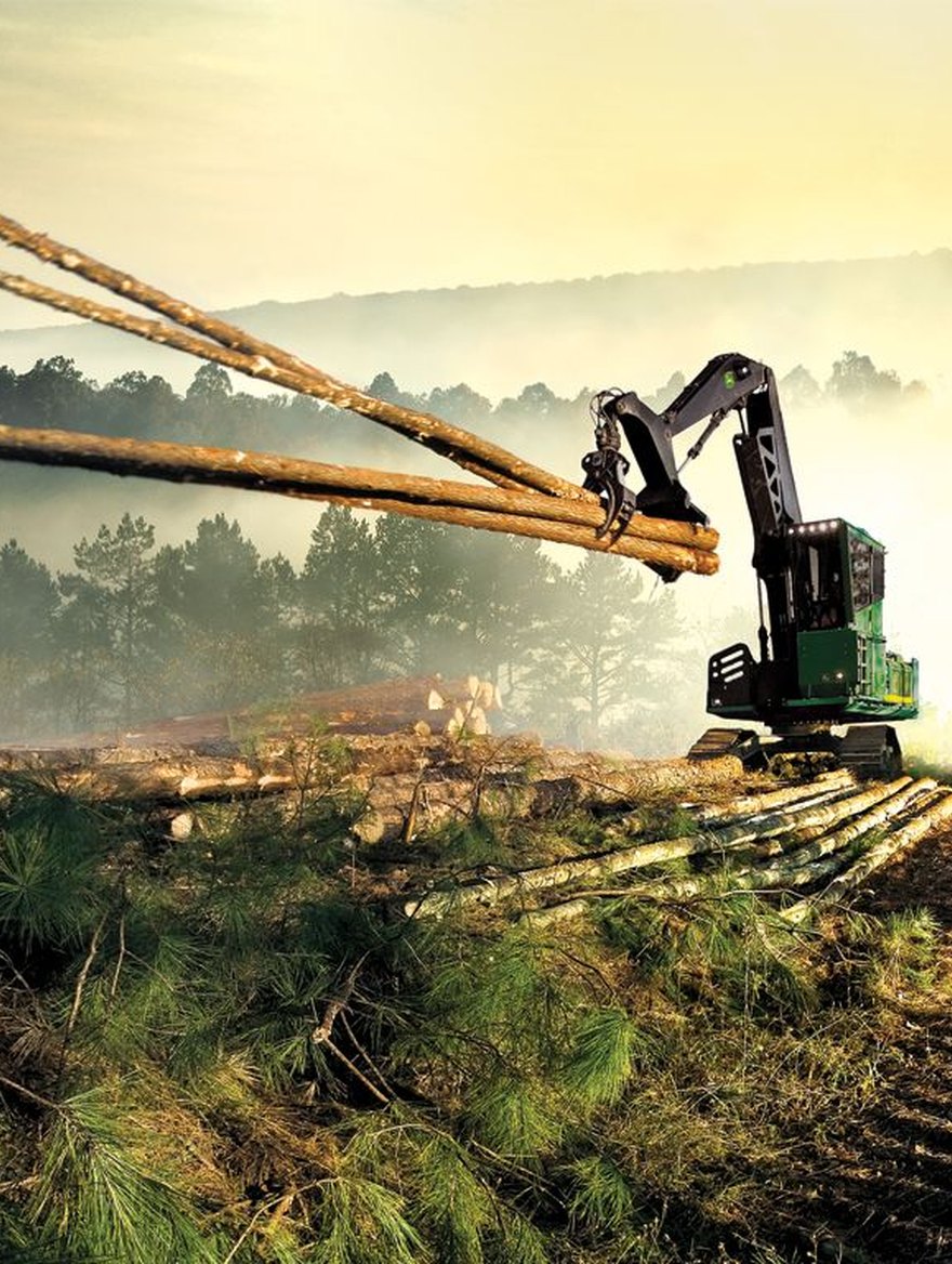 Forst-Harvester im Nadelwald