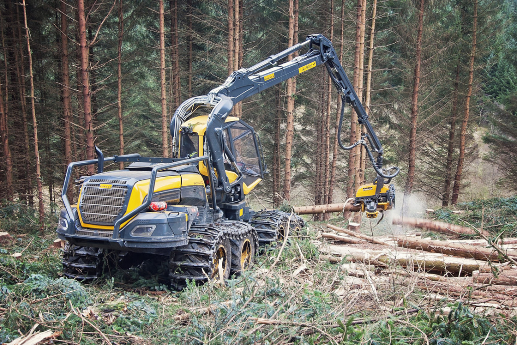 Forstwirtschaft Harvester am Bäume fällen